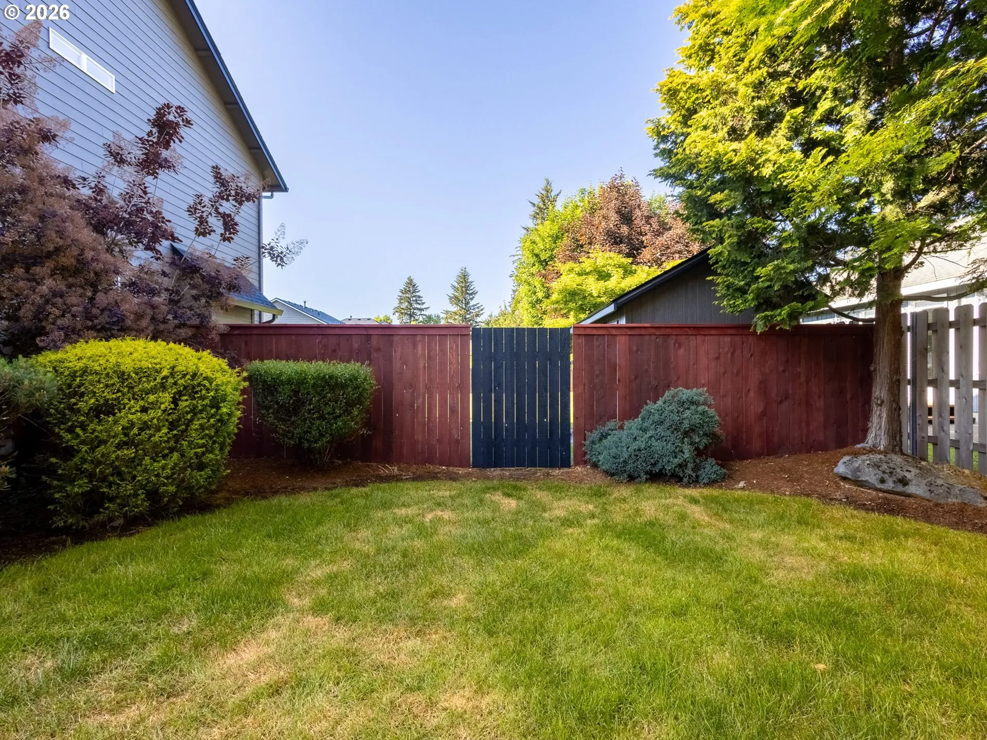 Backyard-Fenced