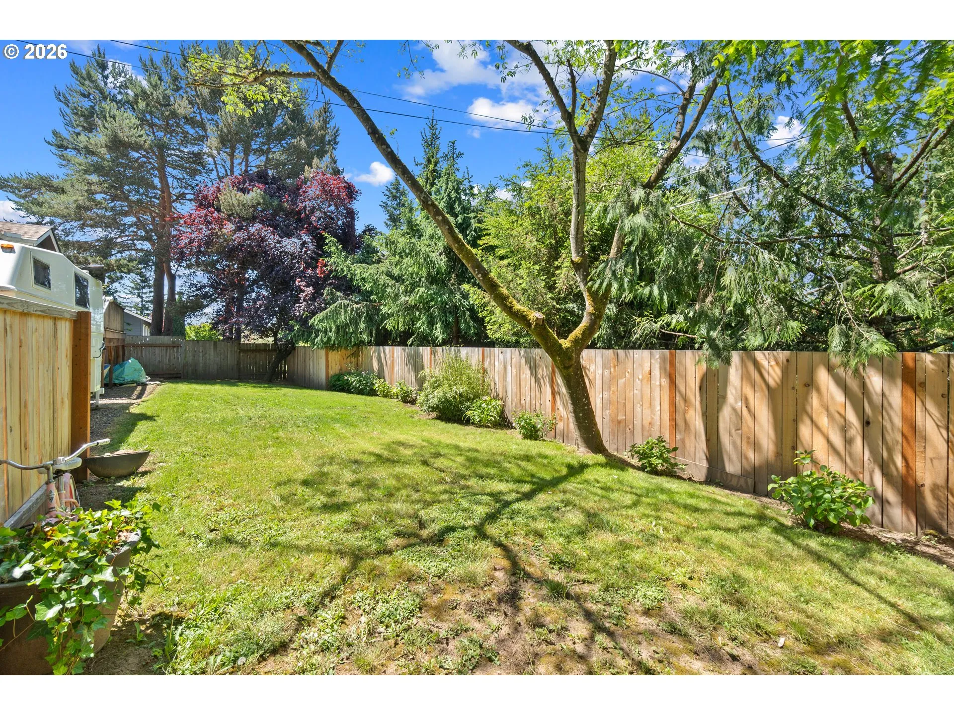 Backyard-Fenced