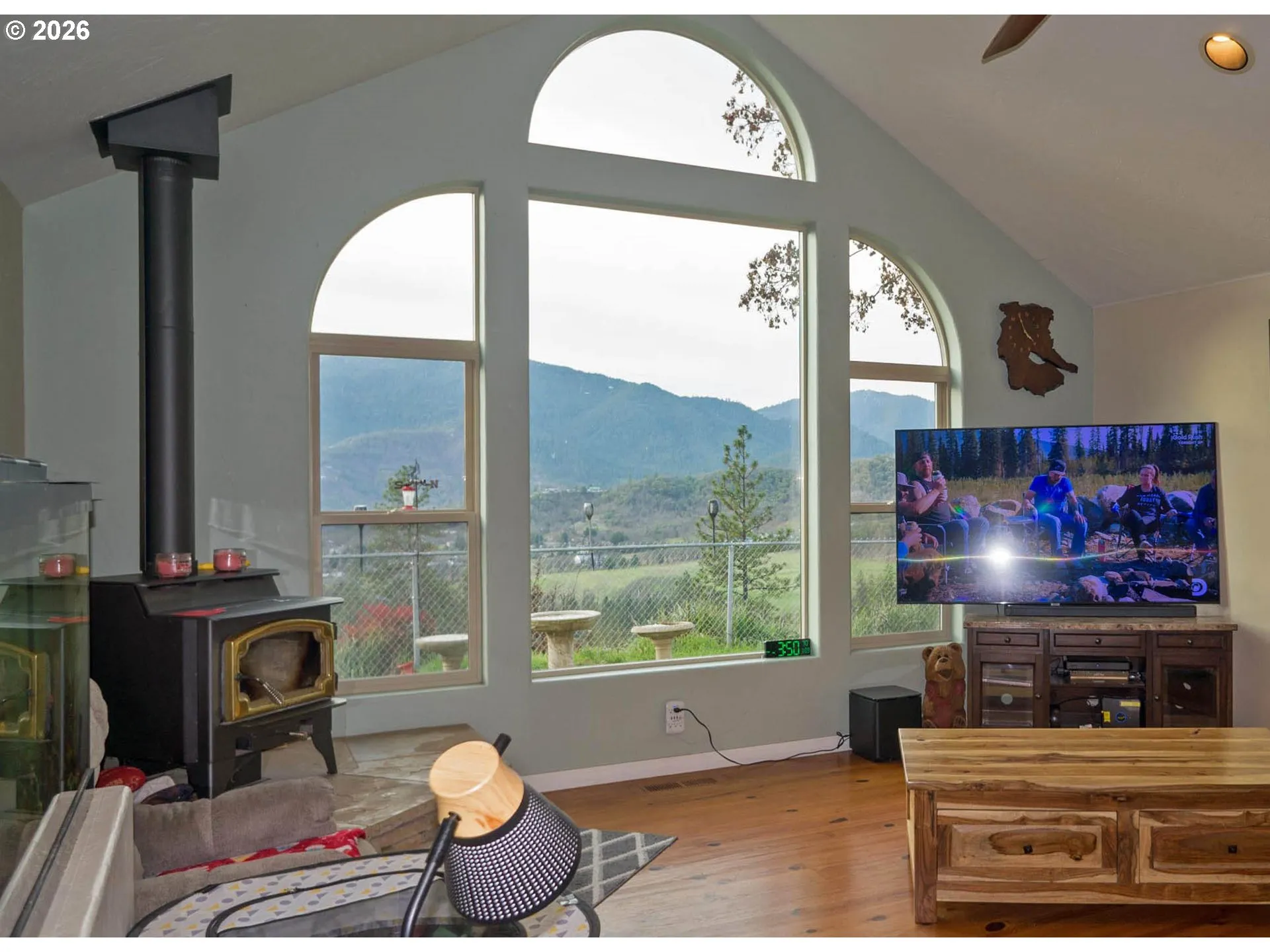 Fireplace Wood Burning Stove/Insert-Certified