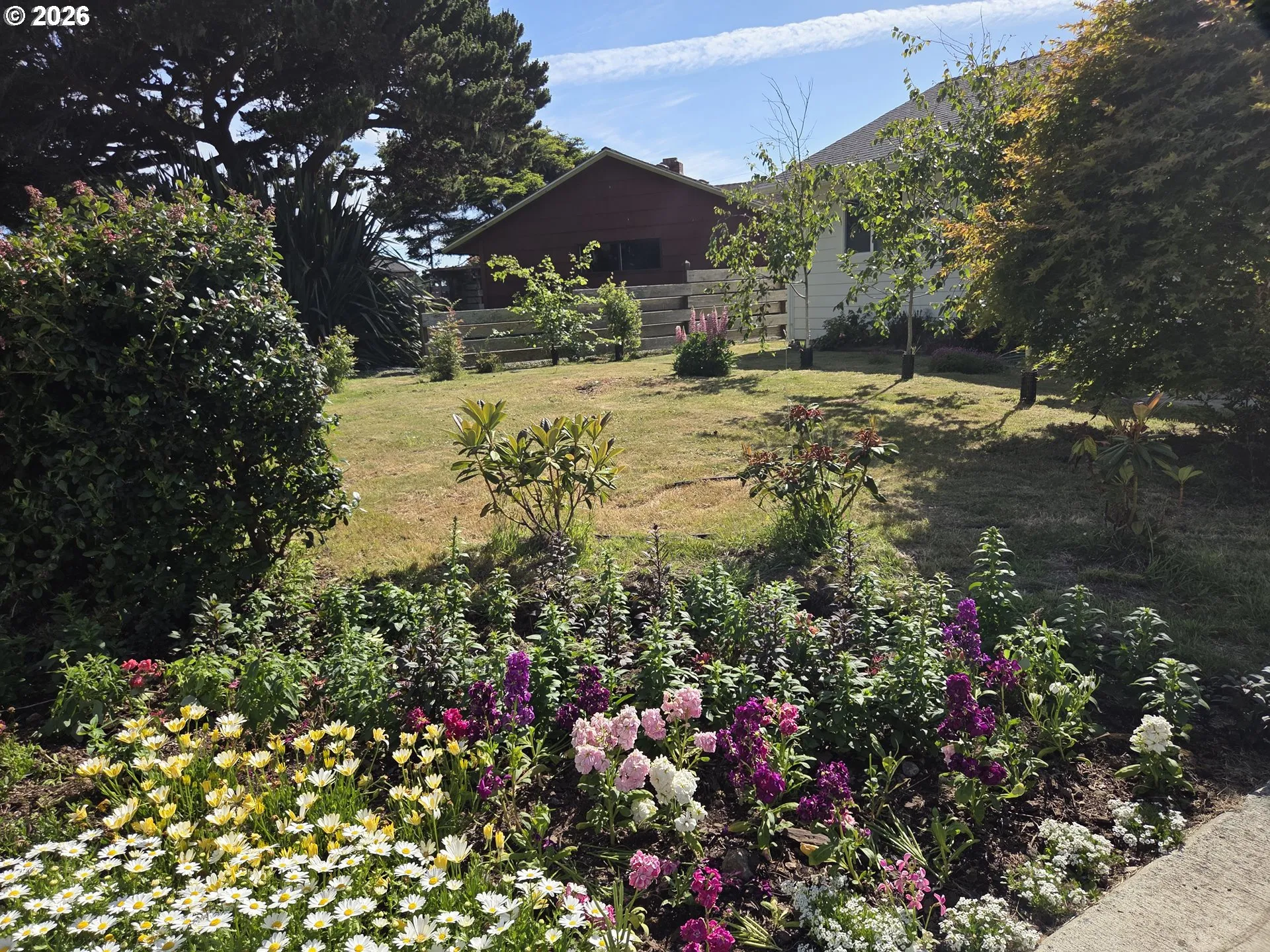 Front Yard