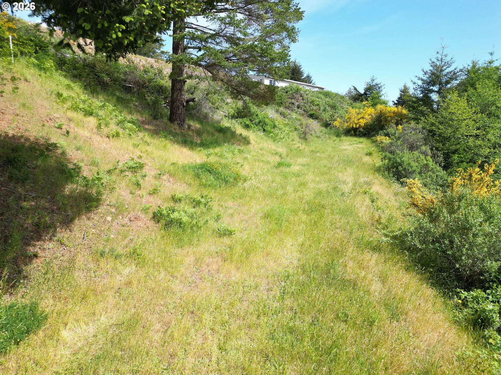 Buildable Area