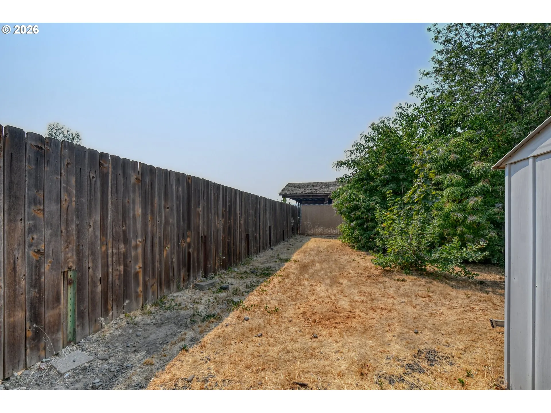 Dog Run
