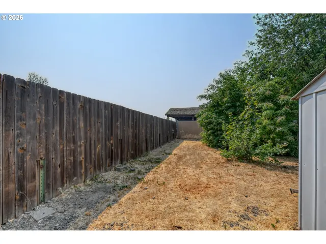 Dog Run