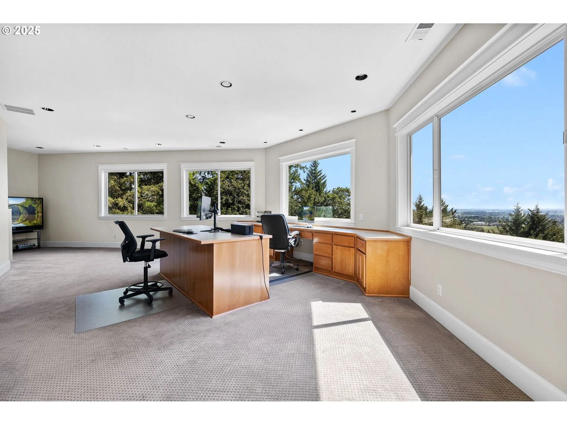 Den/Office