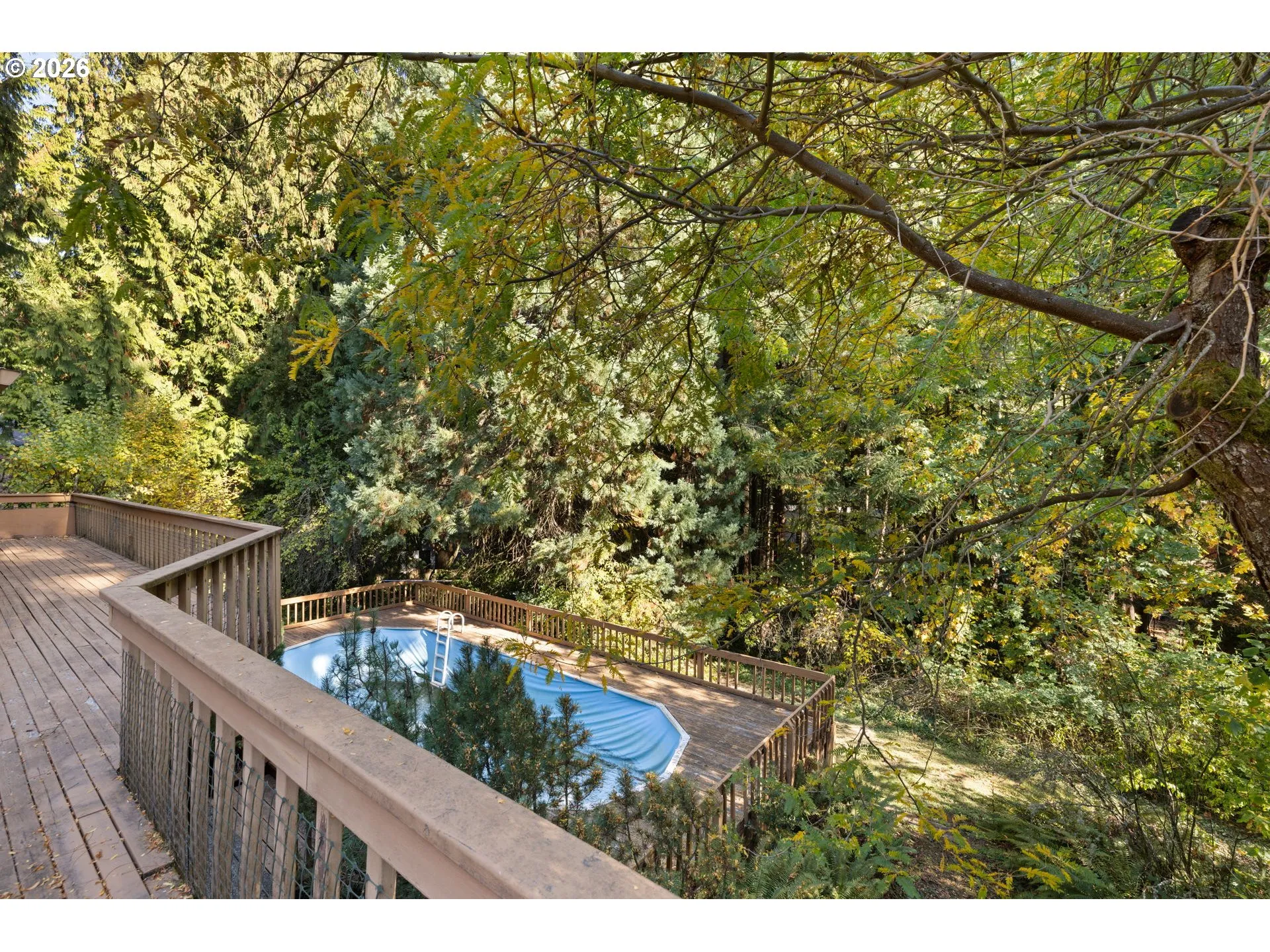 Deck-Main