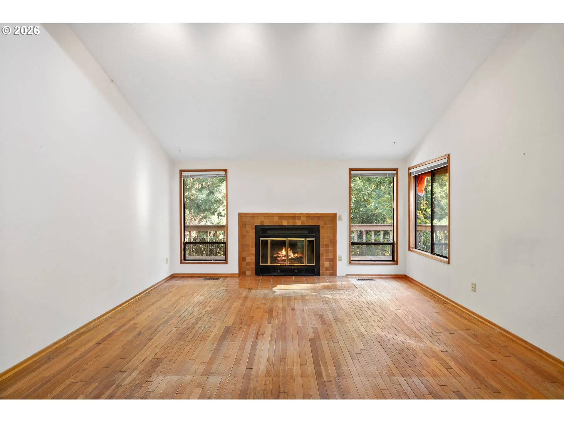 Living Room-Fireplace