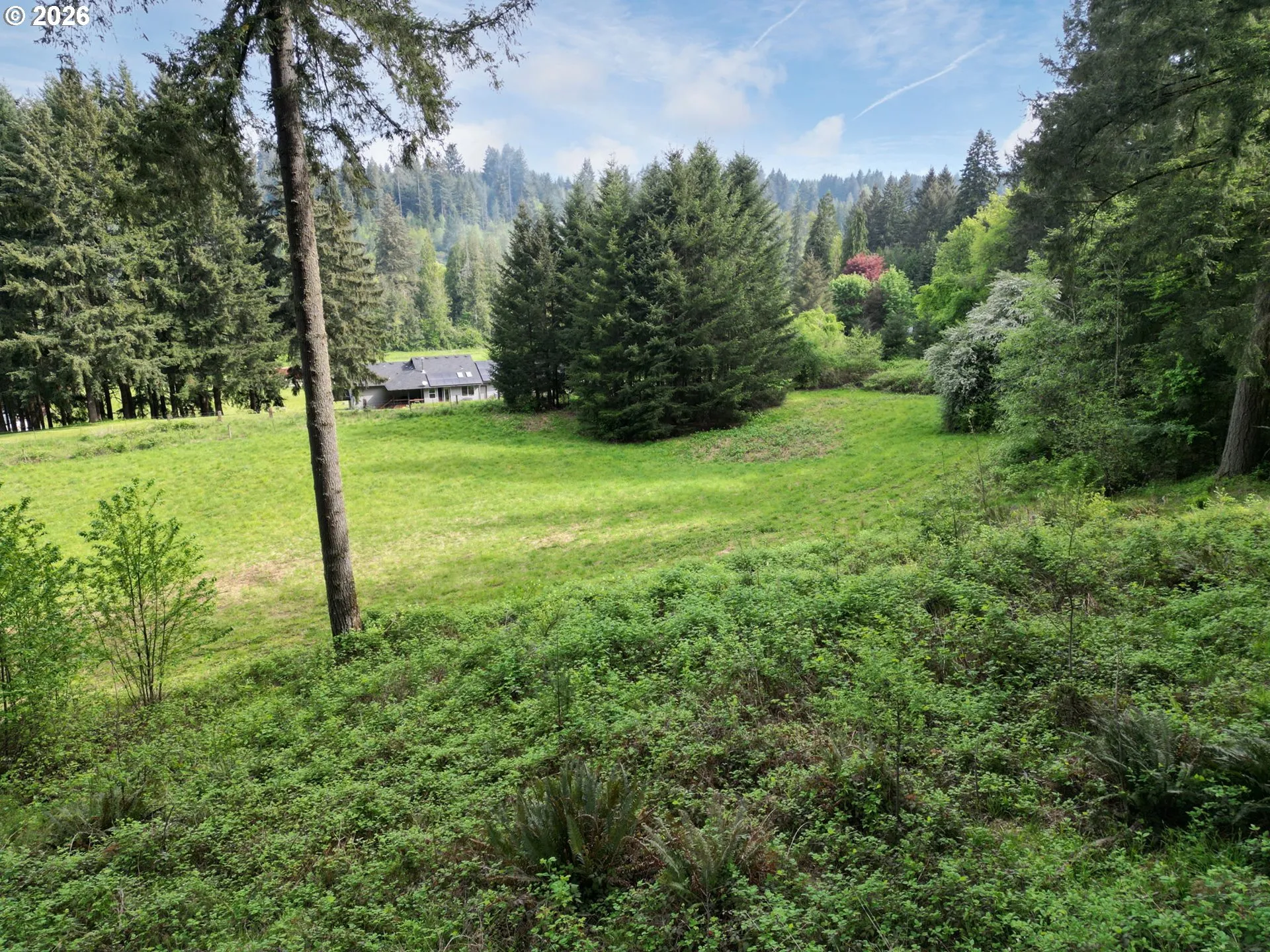 View-Mountain