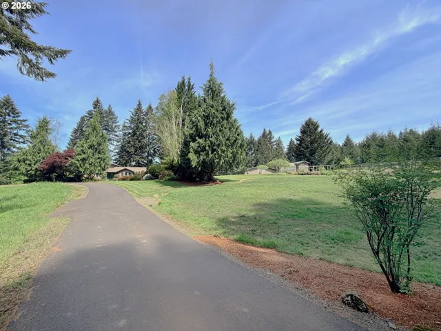 Yard-Landscaped
