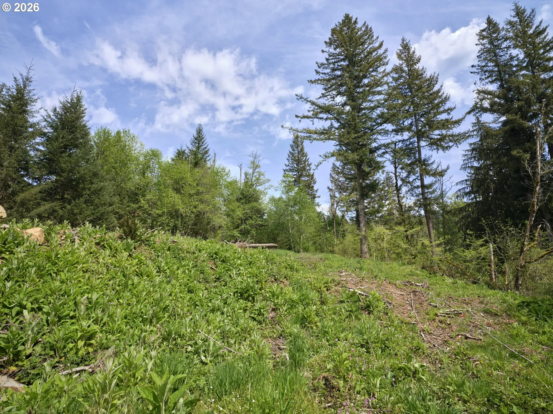 Acreage