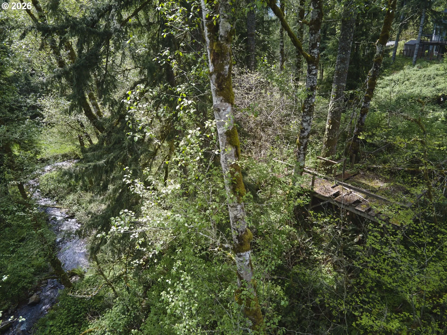 Creek