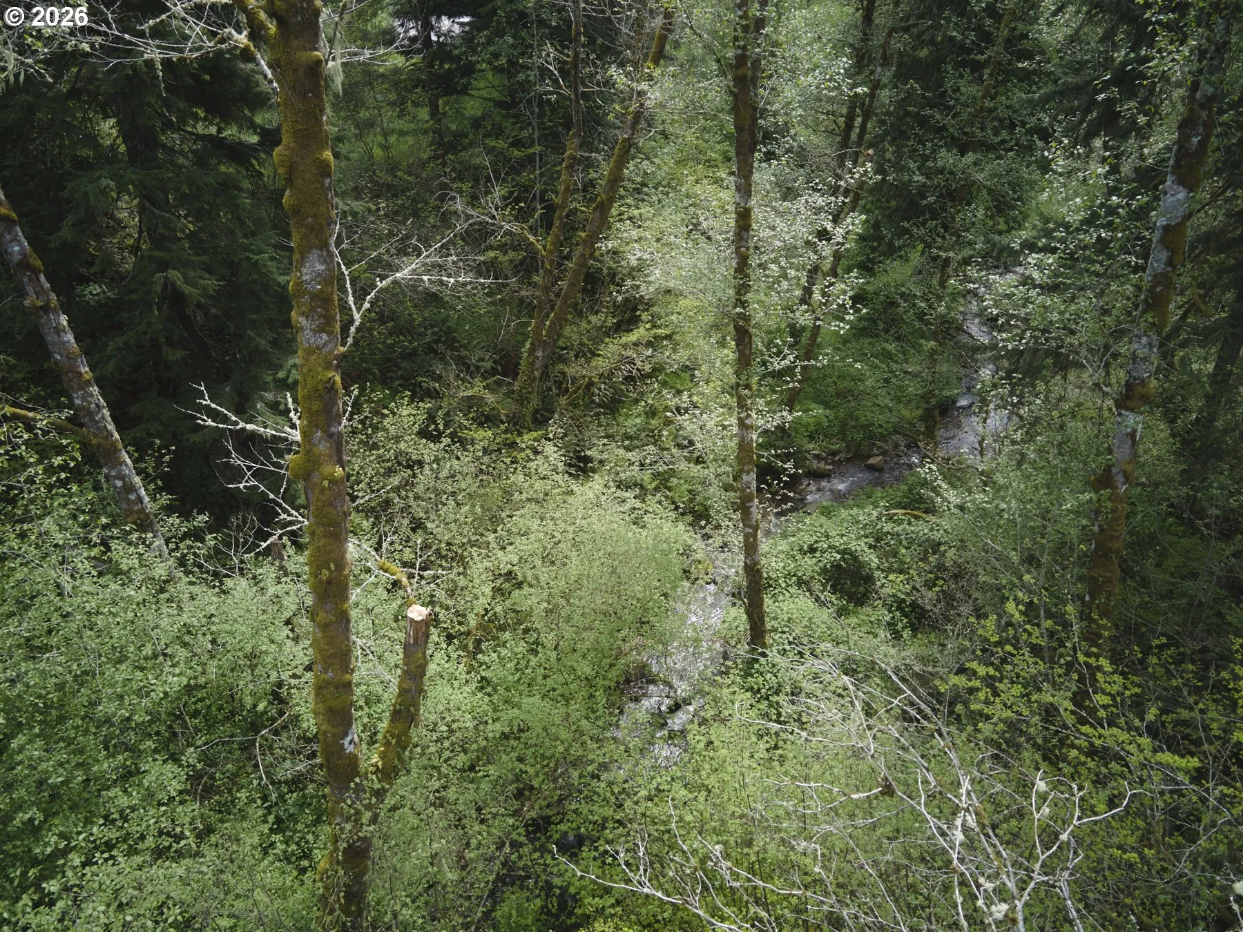 Creek