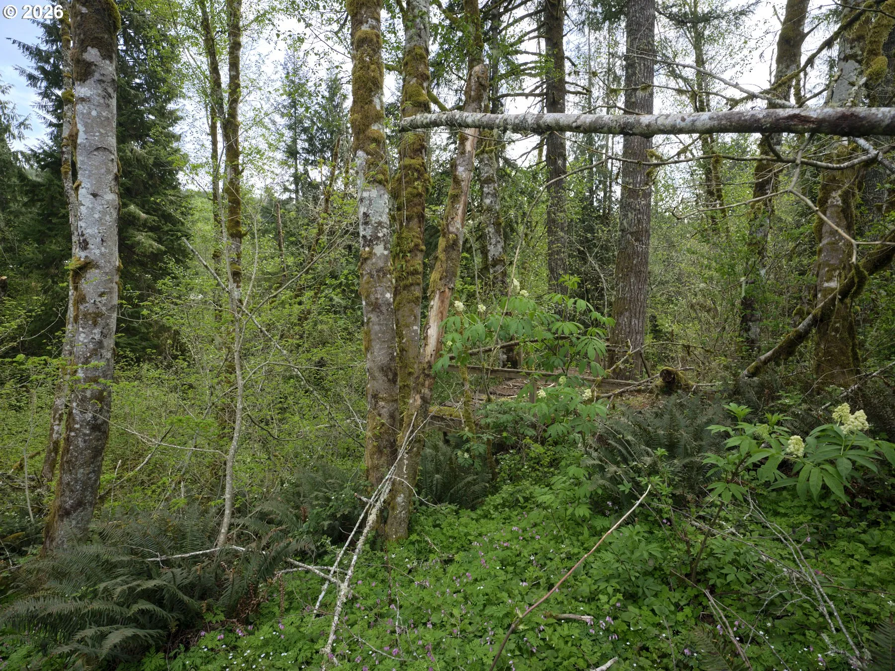 Acreage