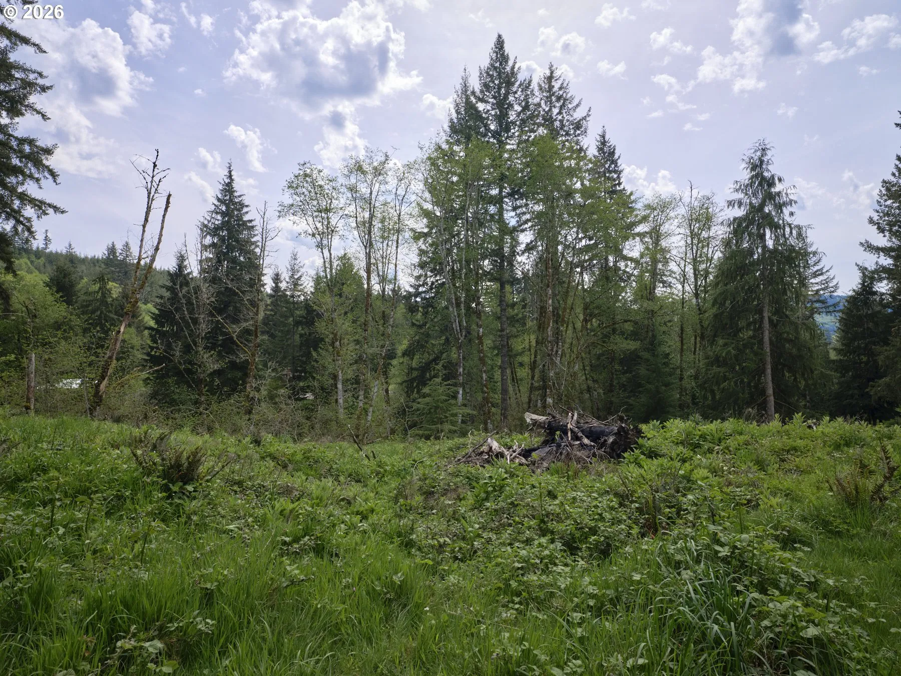 Acreage
