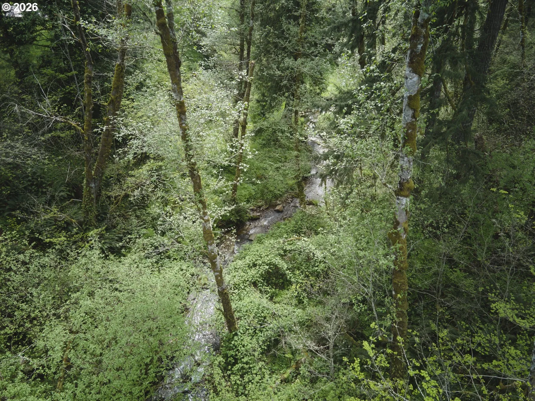 Creek