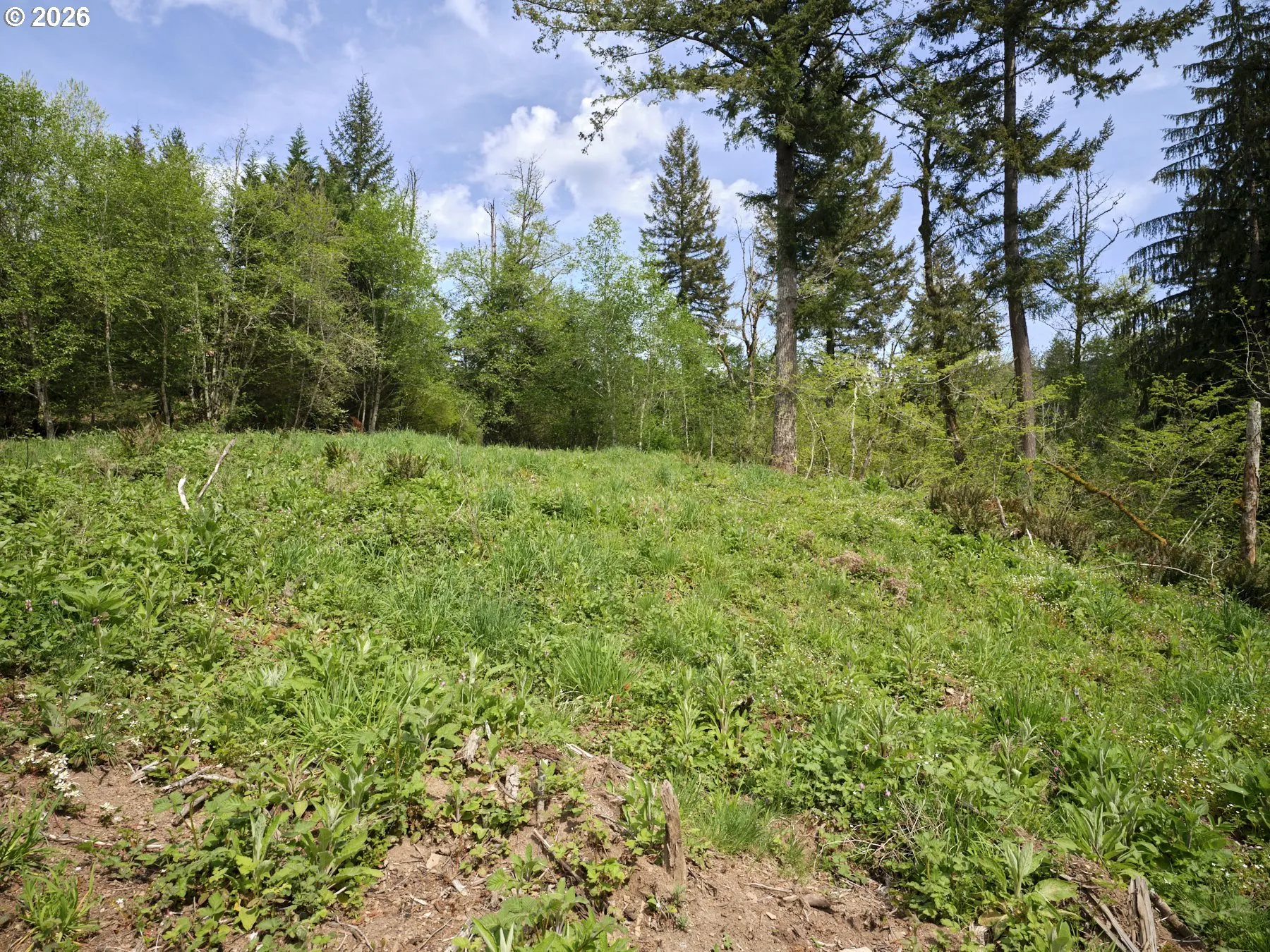 Acreage