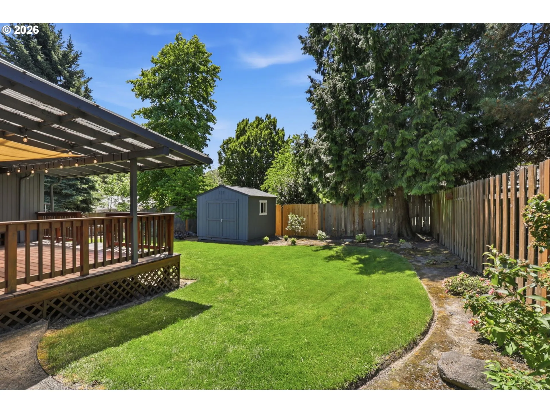 Backyard