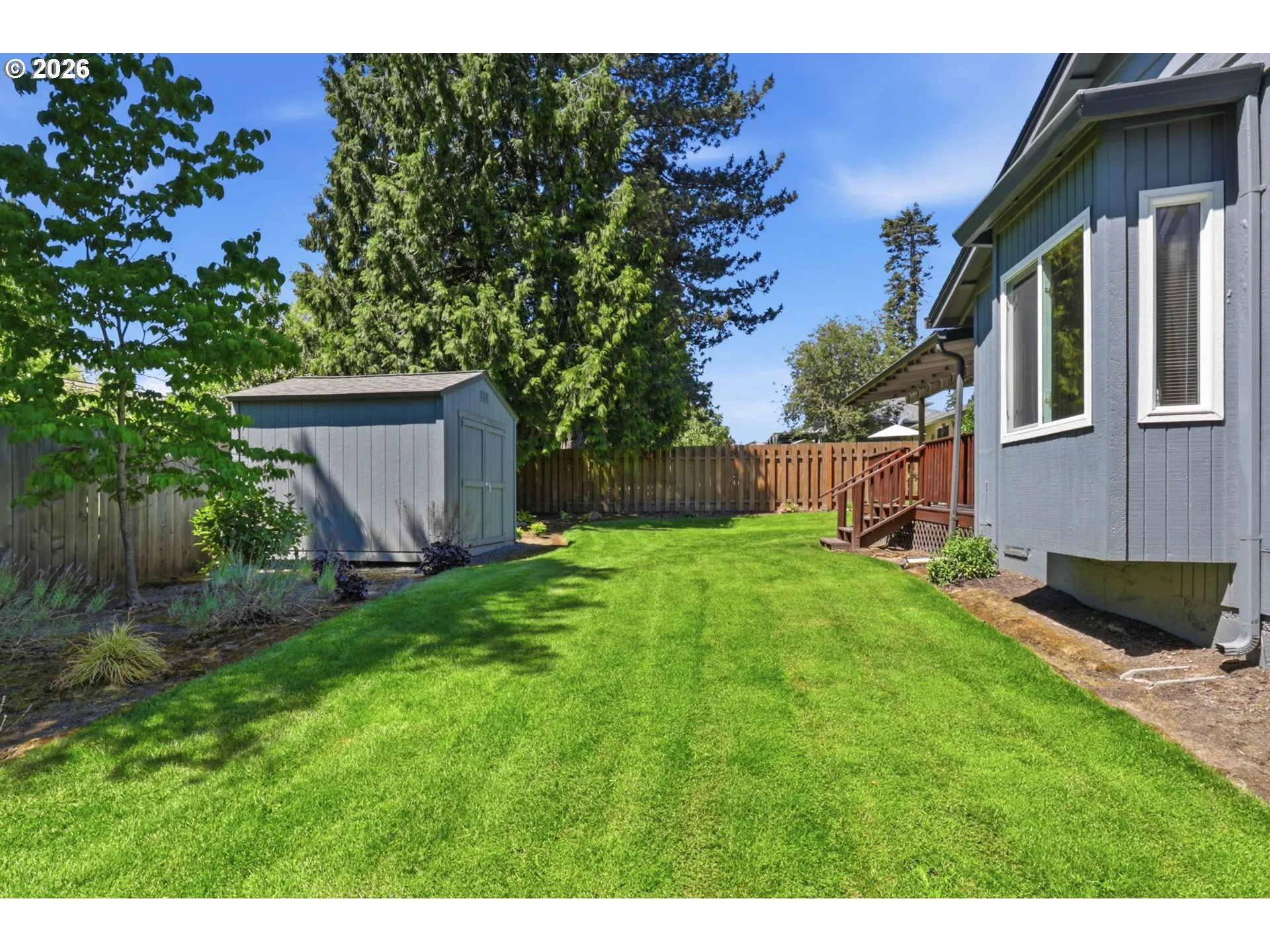 Backyard
