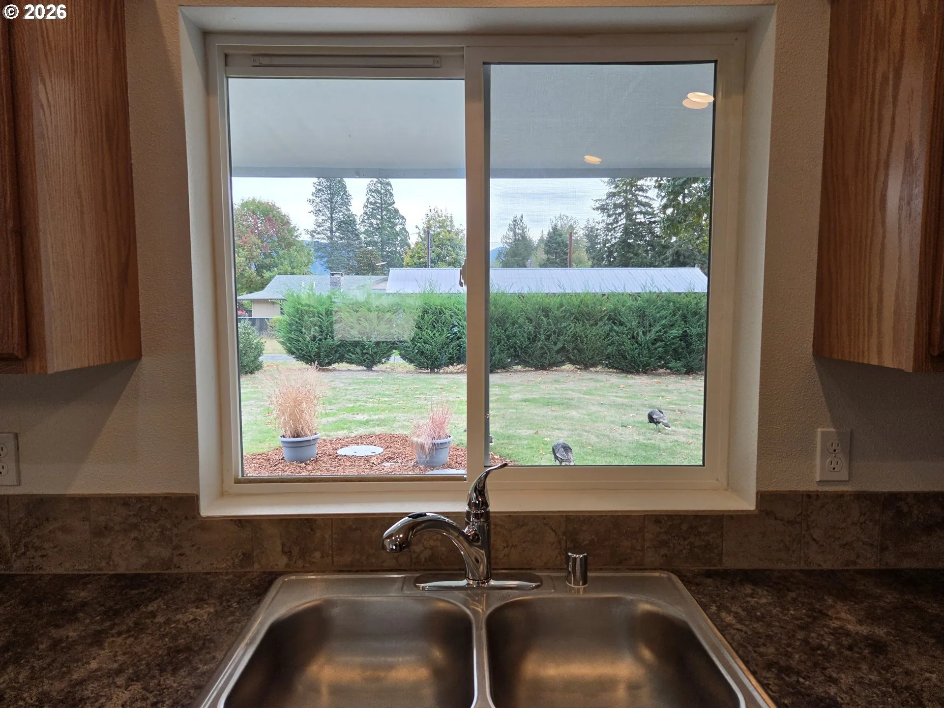 Kitchen-View From