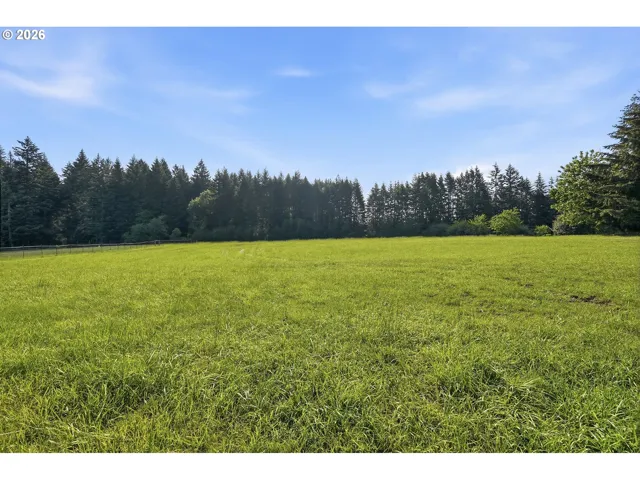 Pasture