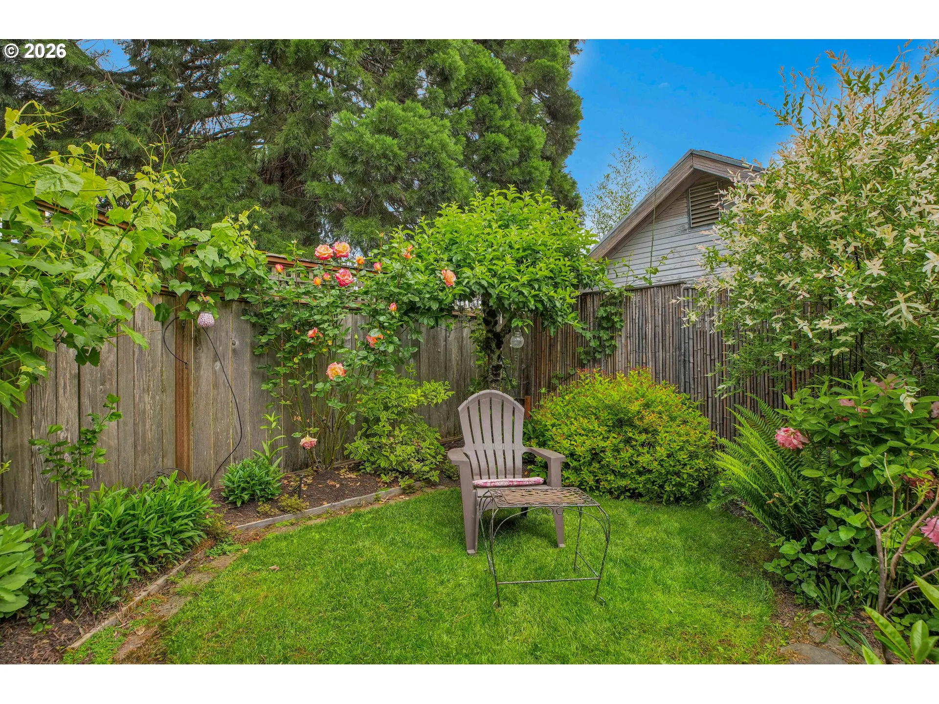 Yard-Landscaped