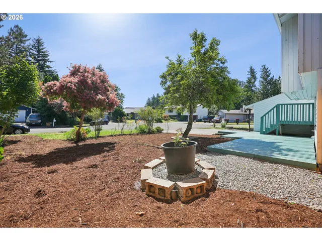 Front Yard
