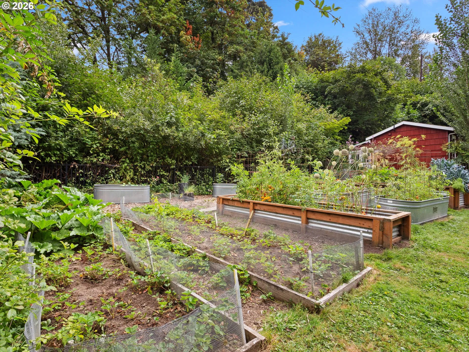 Garden