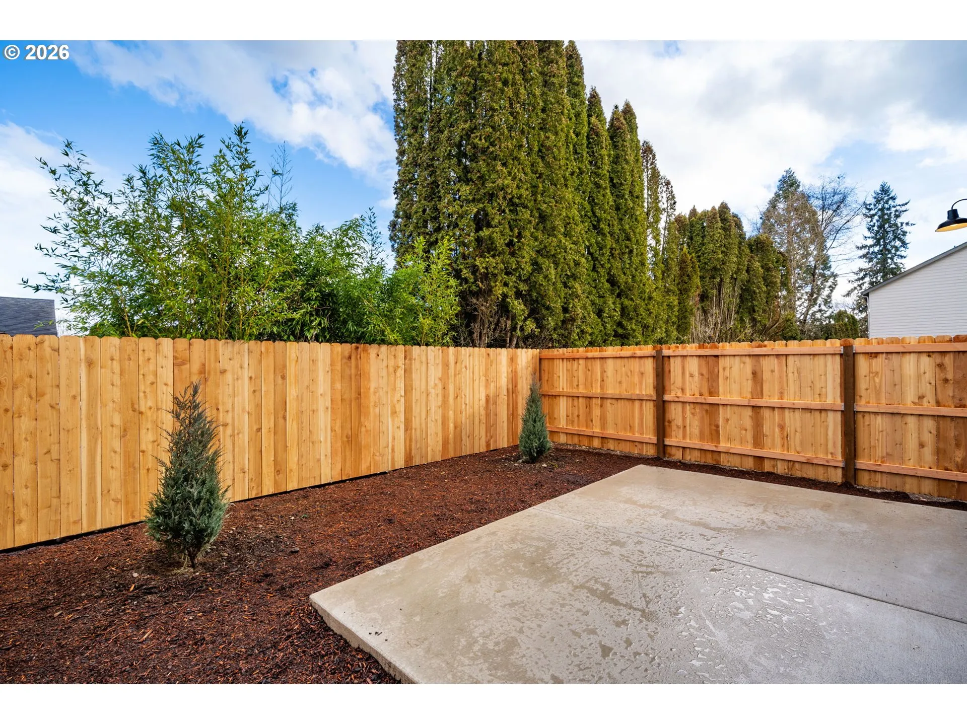 Backyard-Fenced