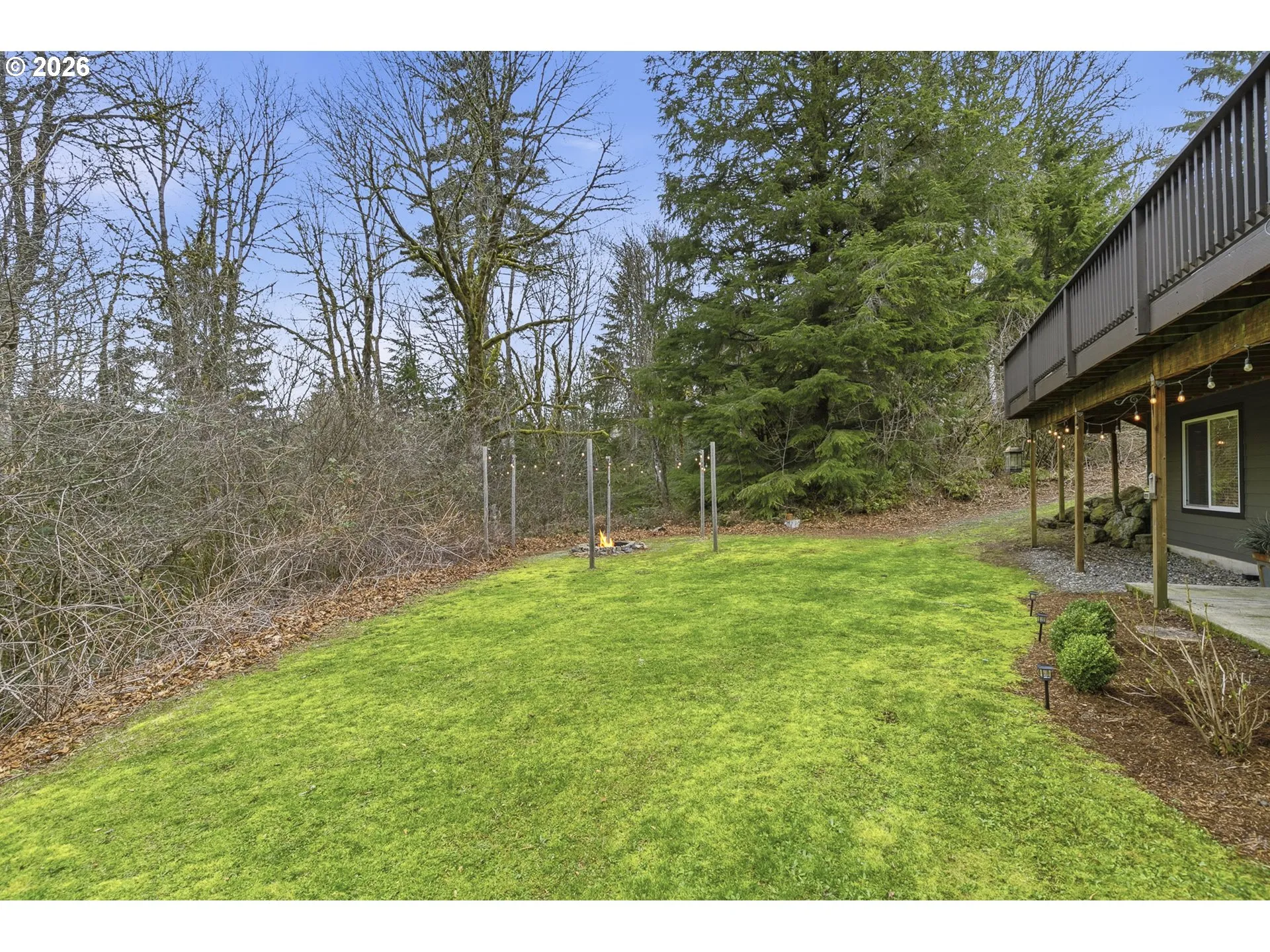 Backyard-View From