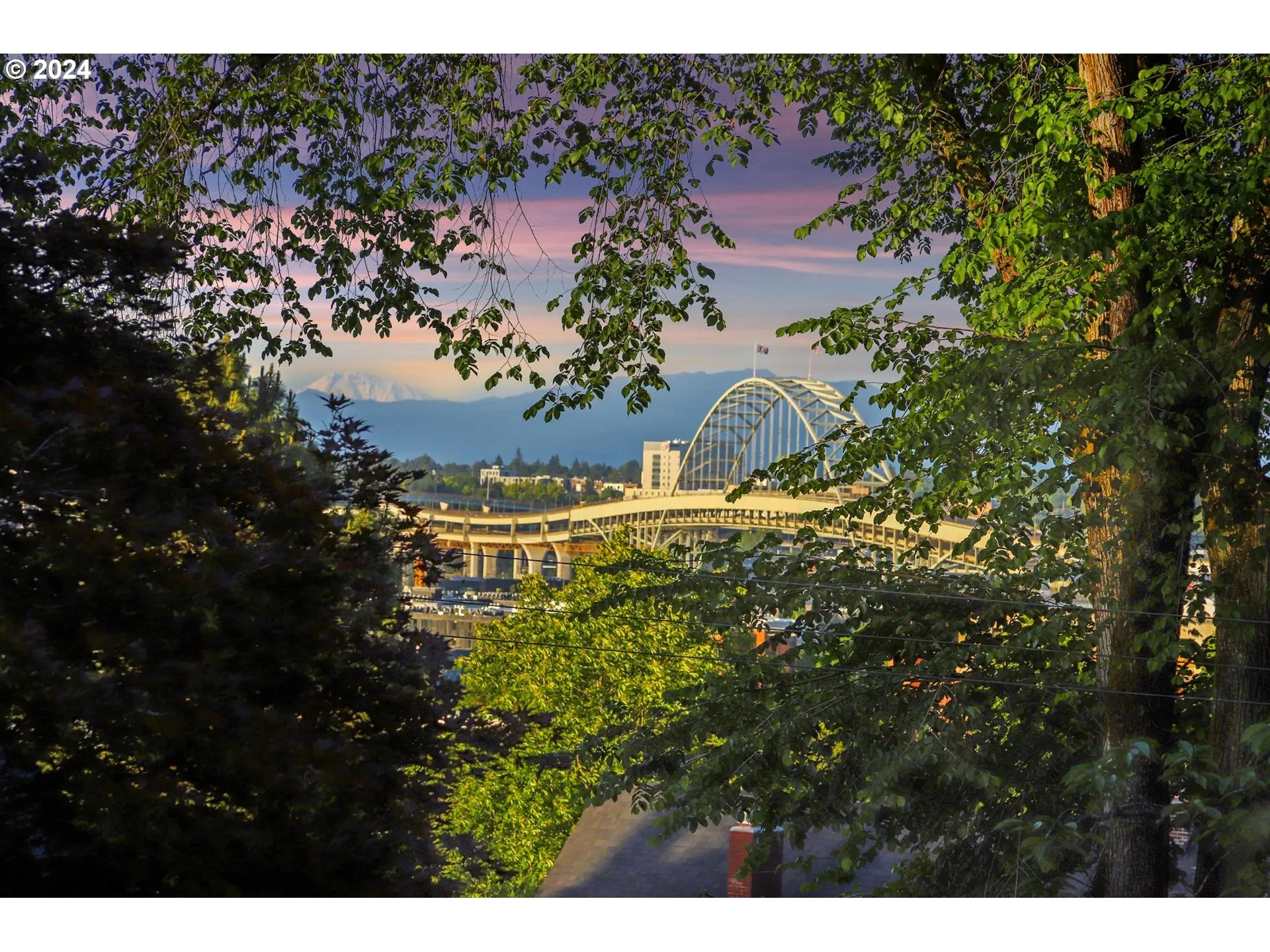 View-Bridge
