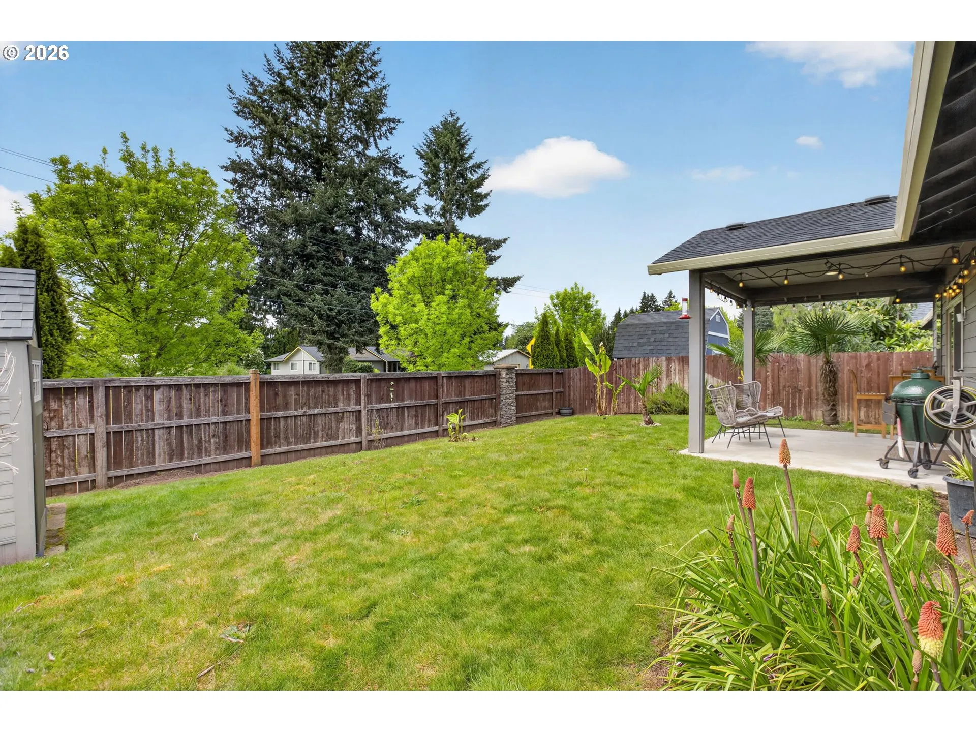 Backyard-View From