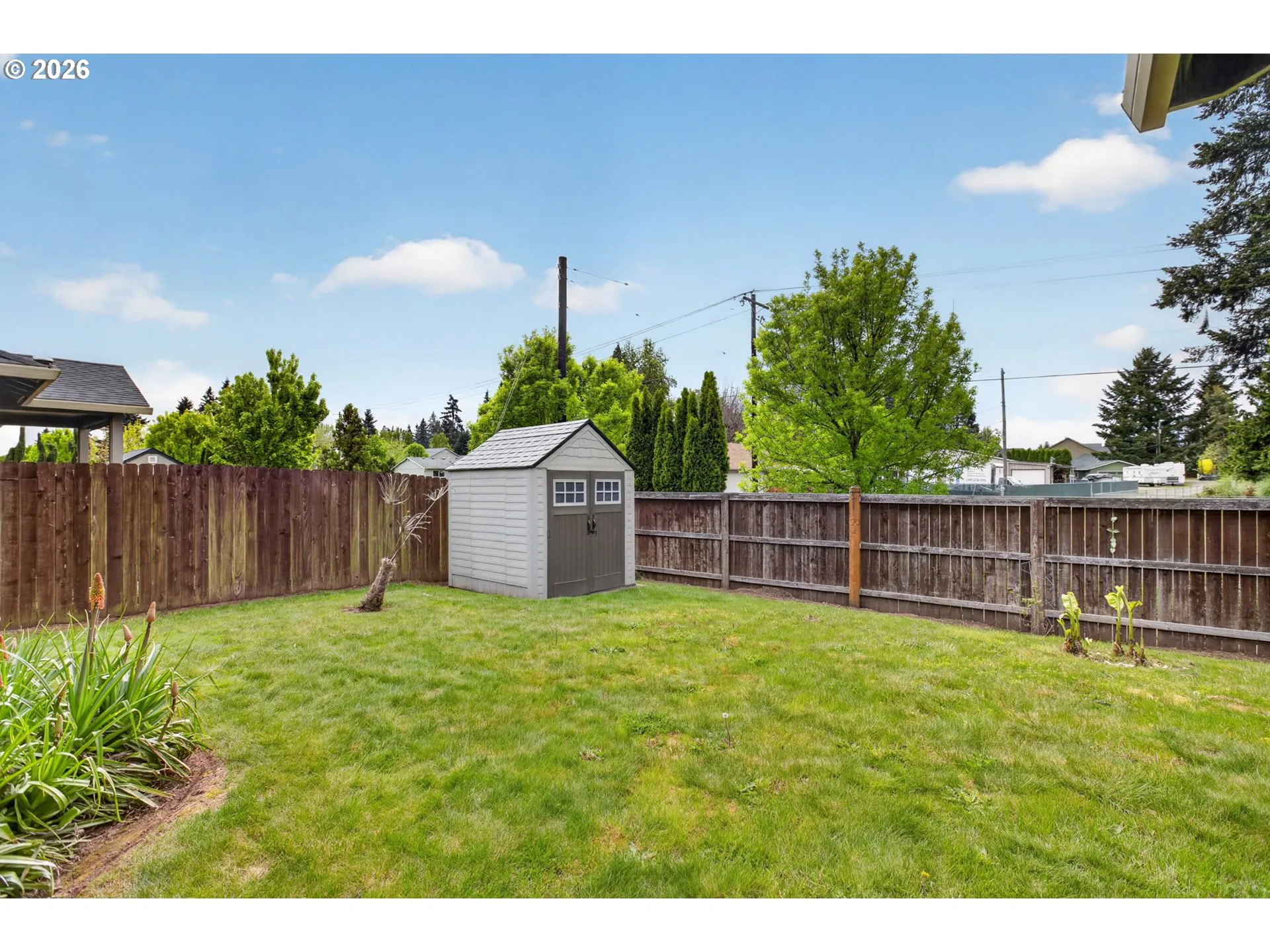 Backyard