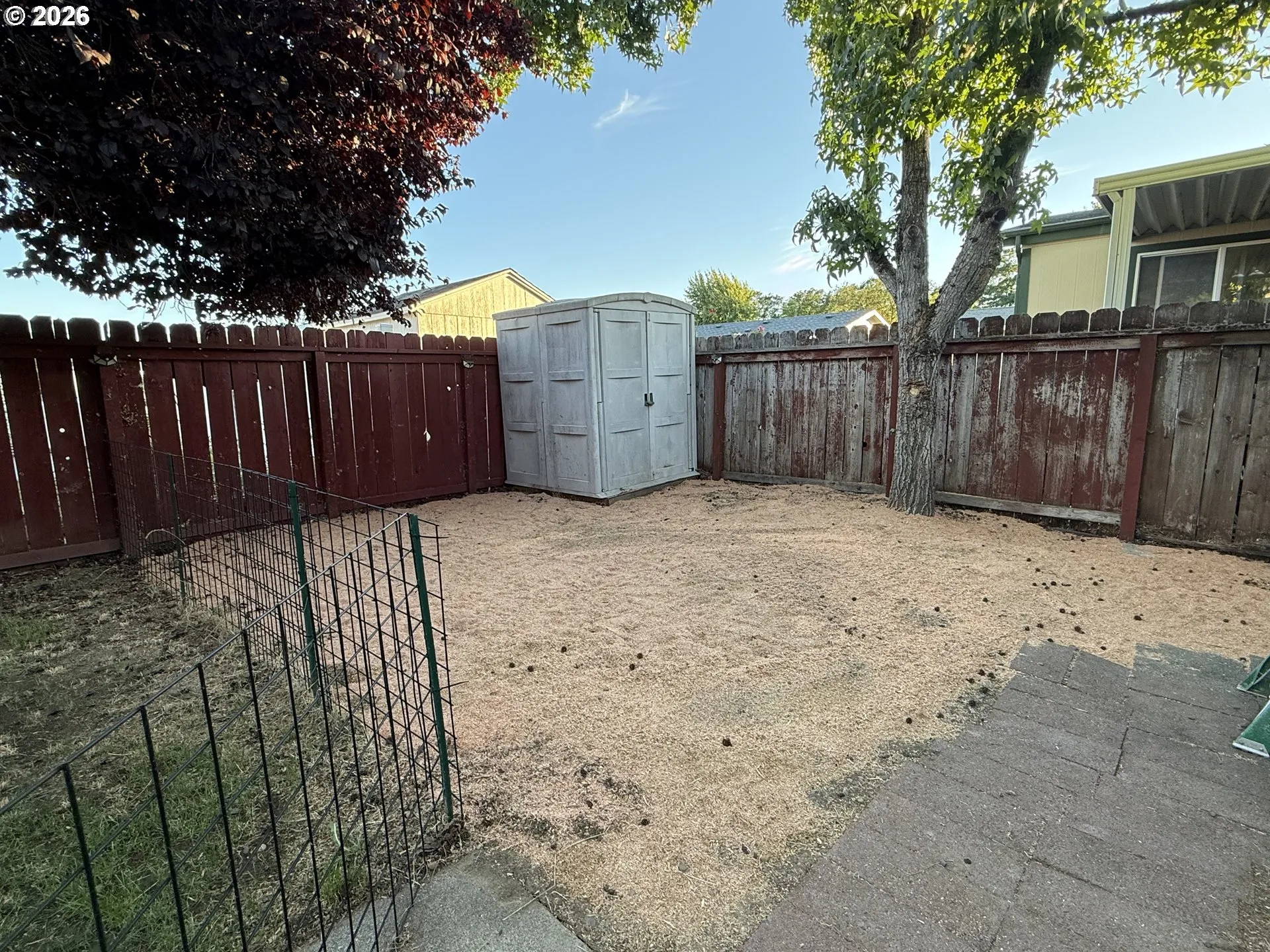 Dog Run