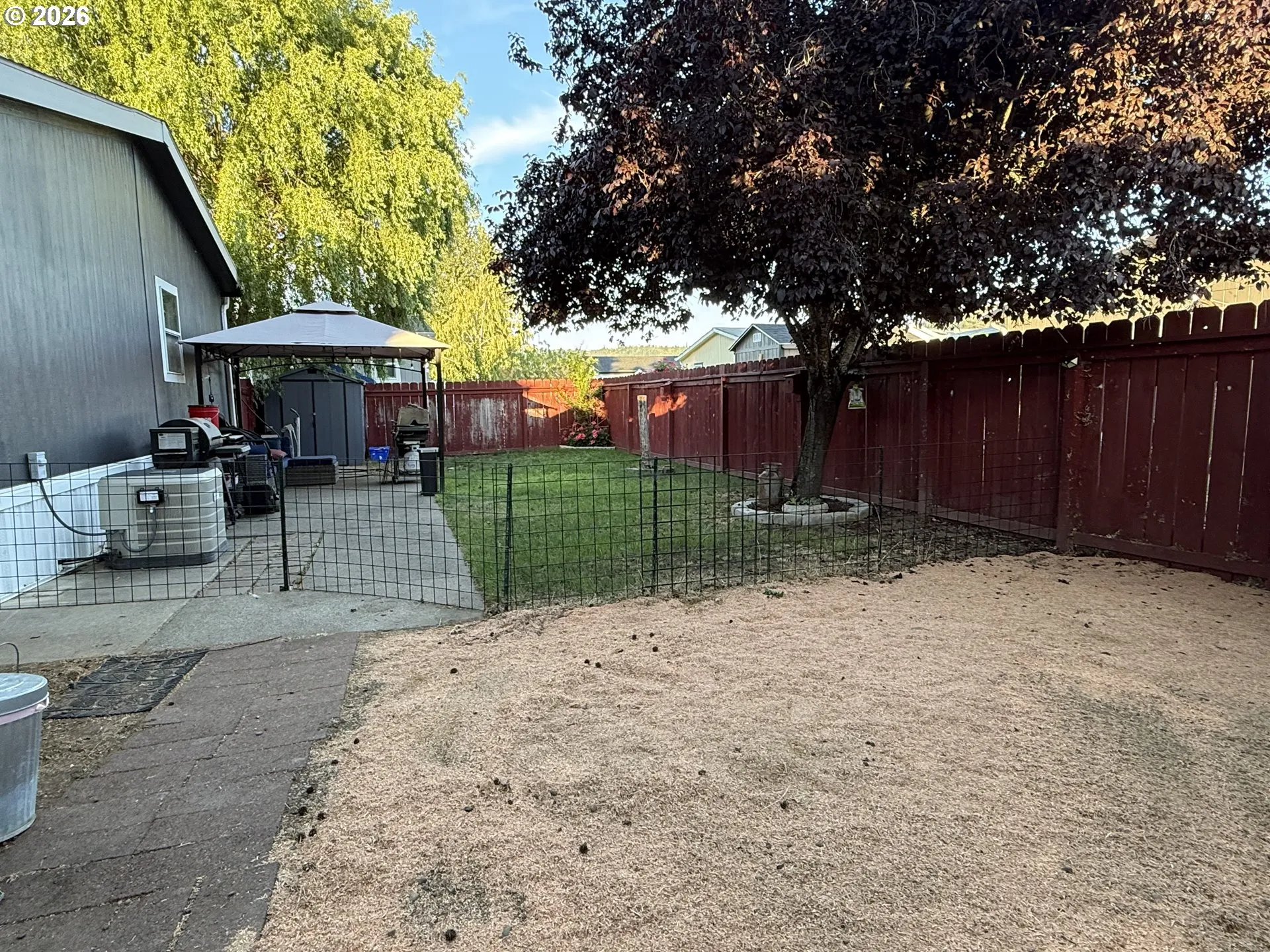 Backyard-Fenced