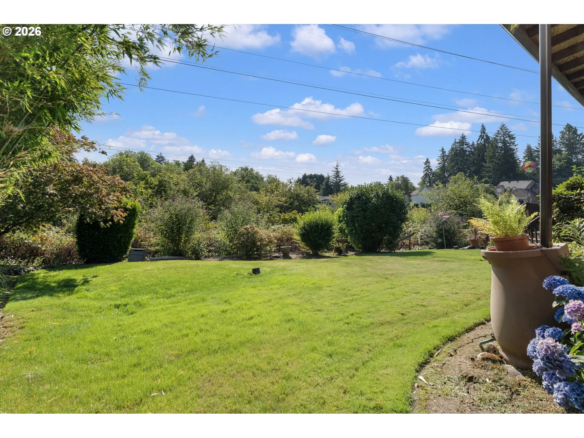 Backyard