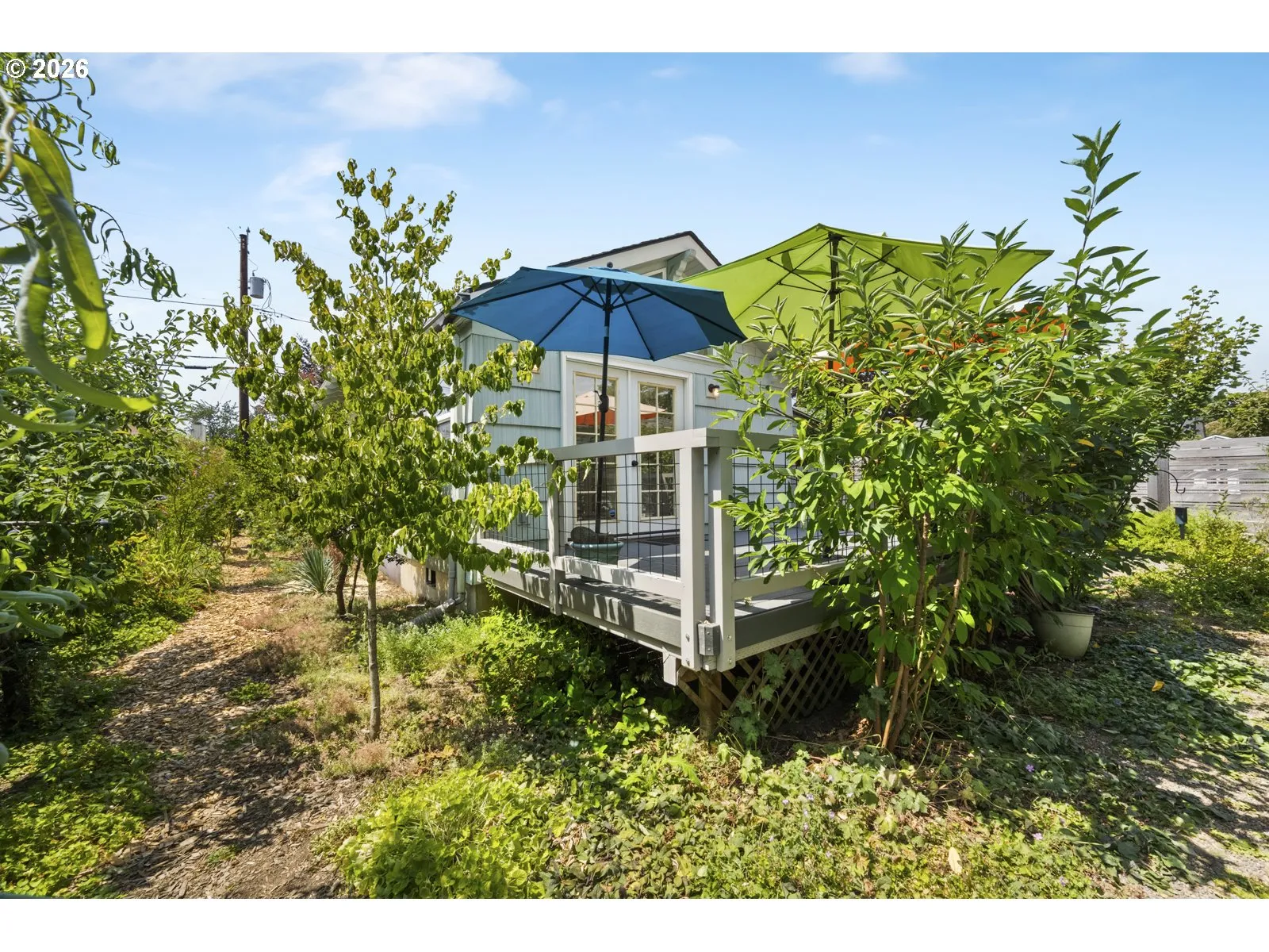 Backyard-View From