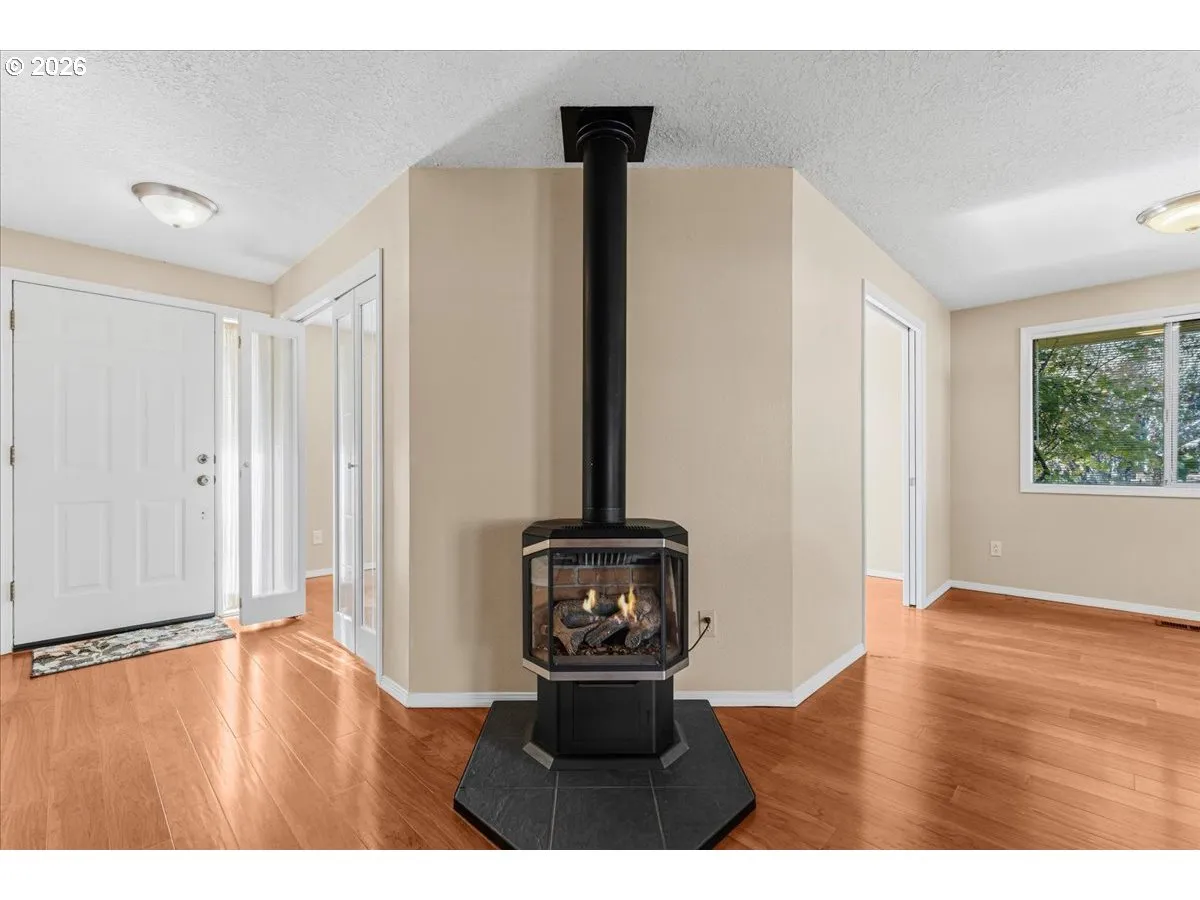 Fireplace Gas Burning Stove/Insert
