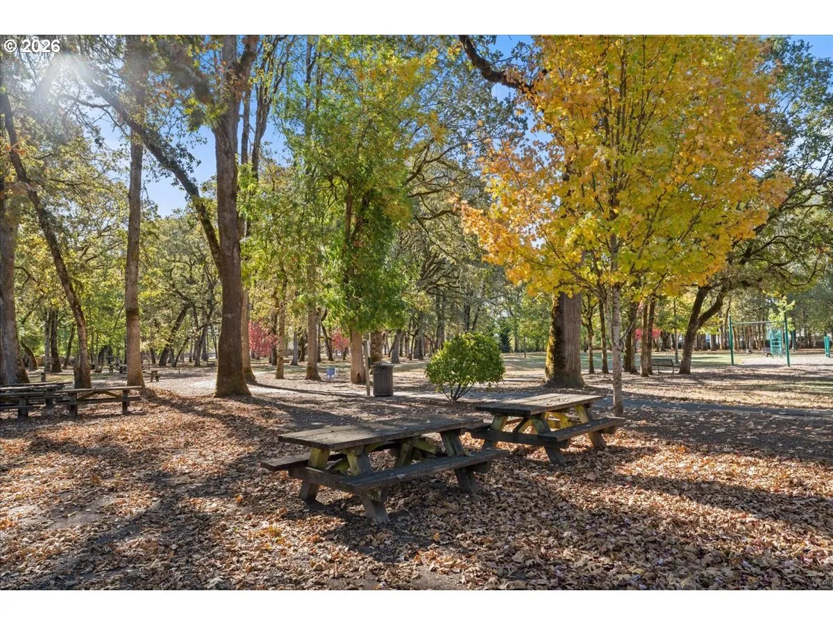 Community Park
