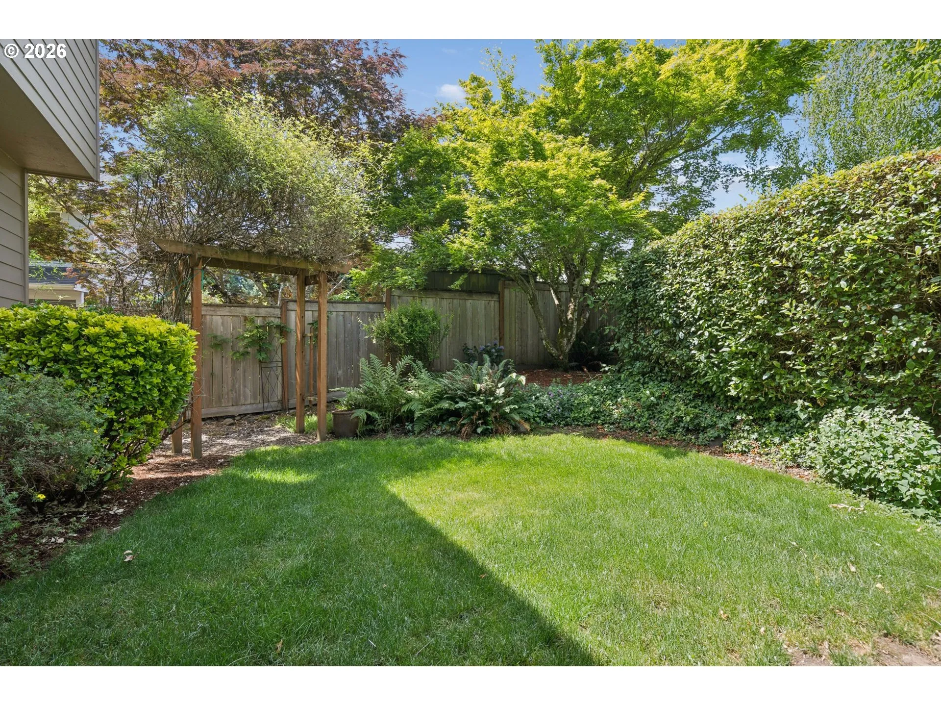 Backyard