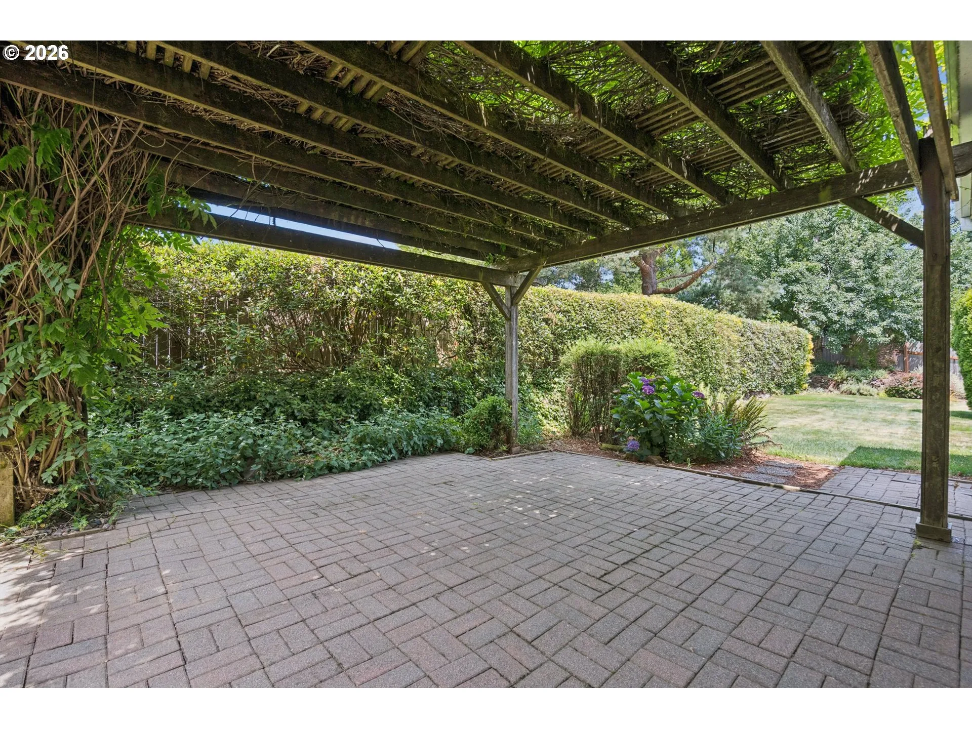 Backyard