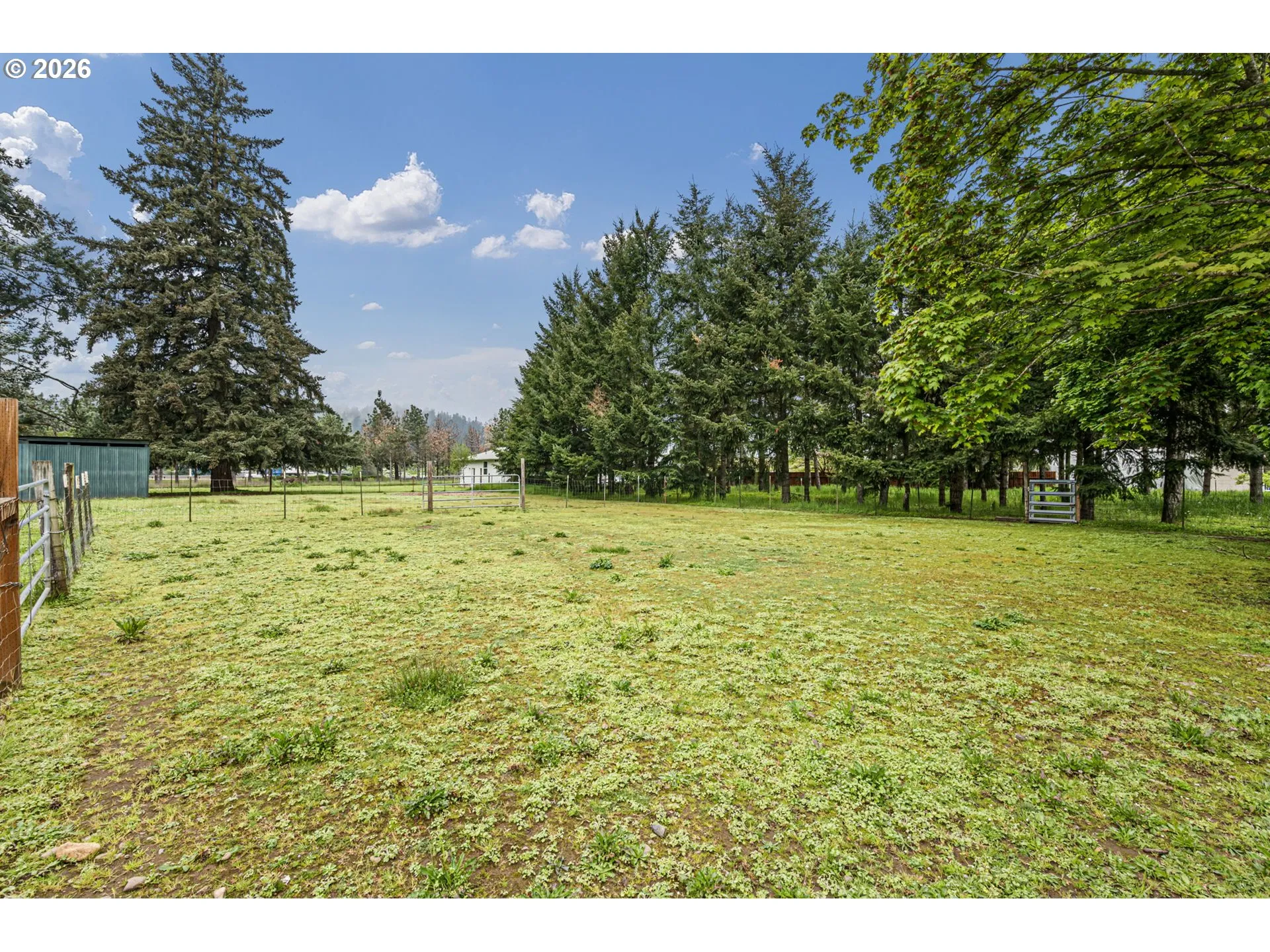 Pasture
