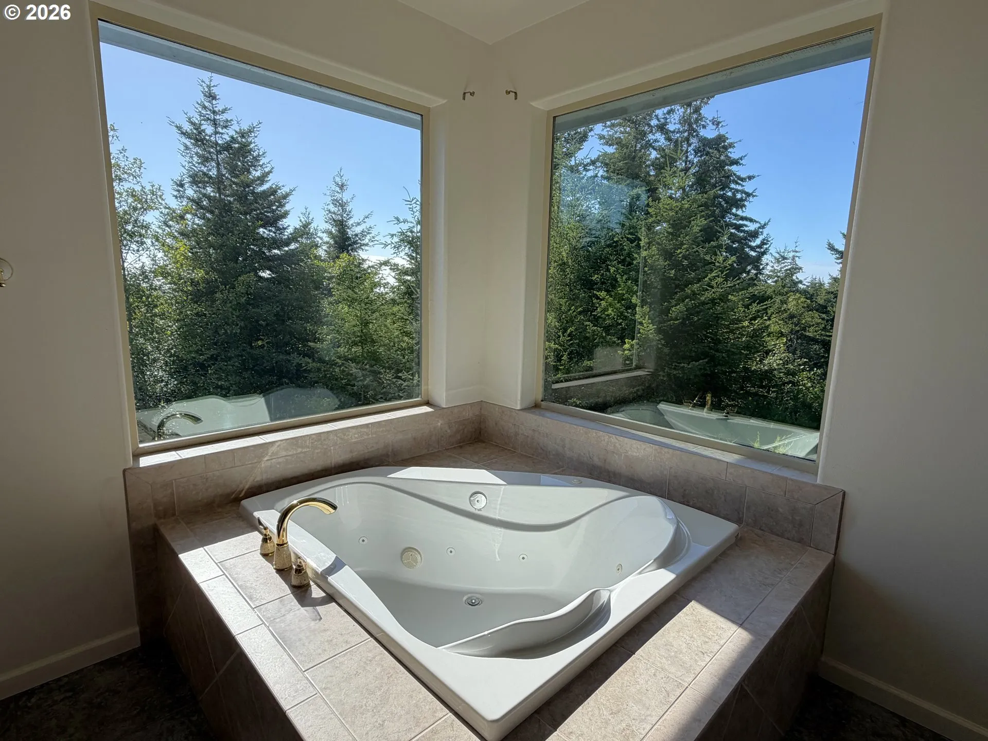 Owner's Suite Bathroom-Garden Tub