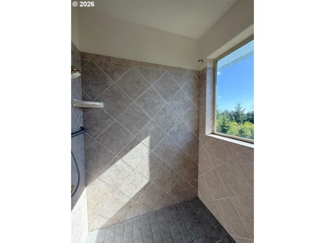 Owner's Suite Bathroom-Walk in Shower