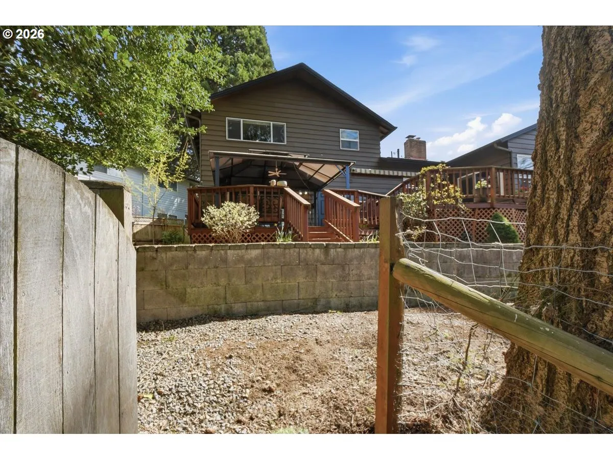 Backyard-View From