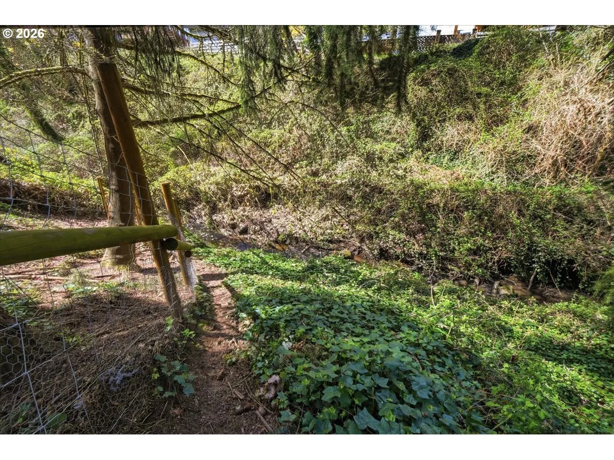 Green Space-Back