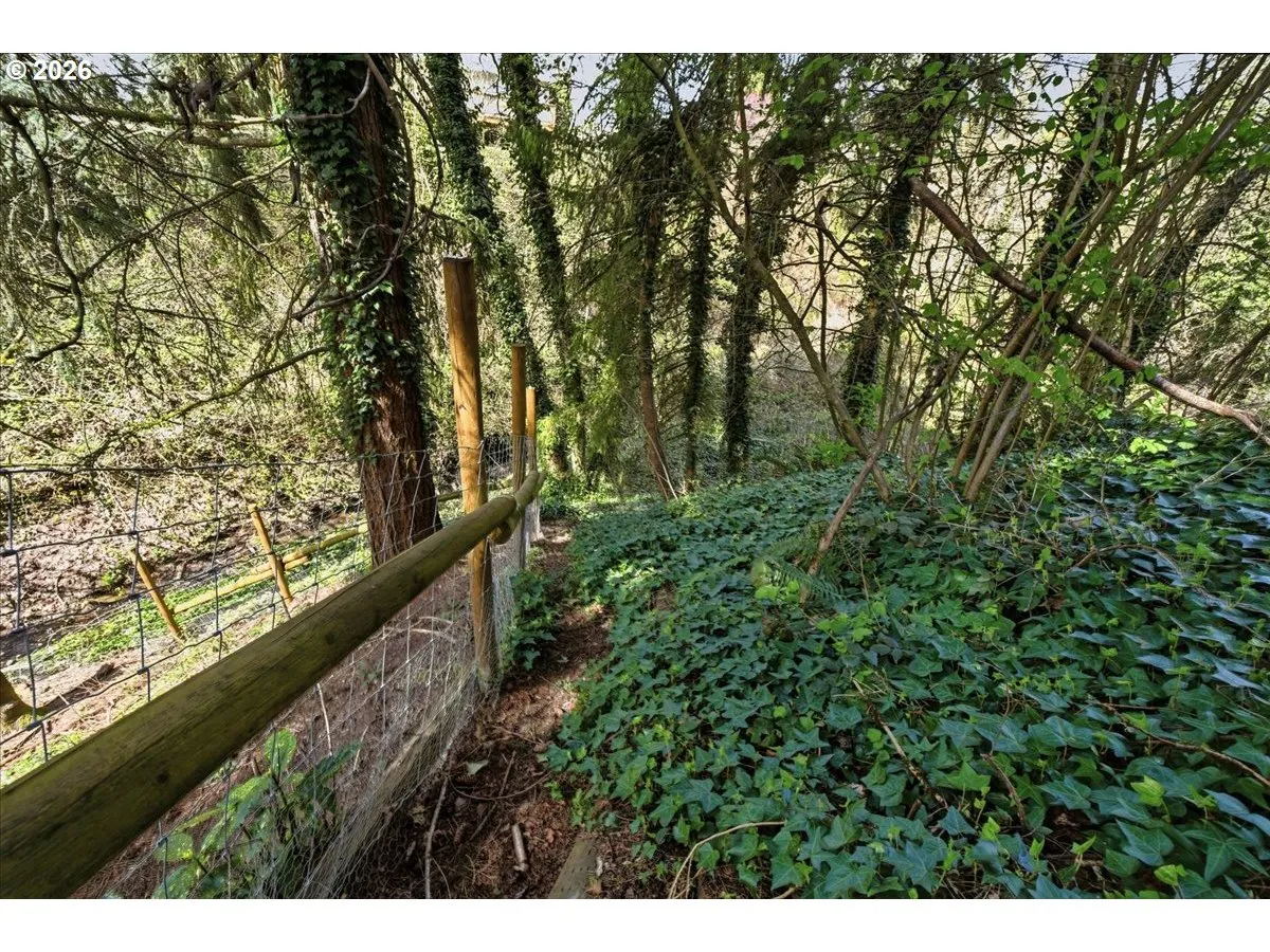 Green Space-Back