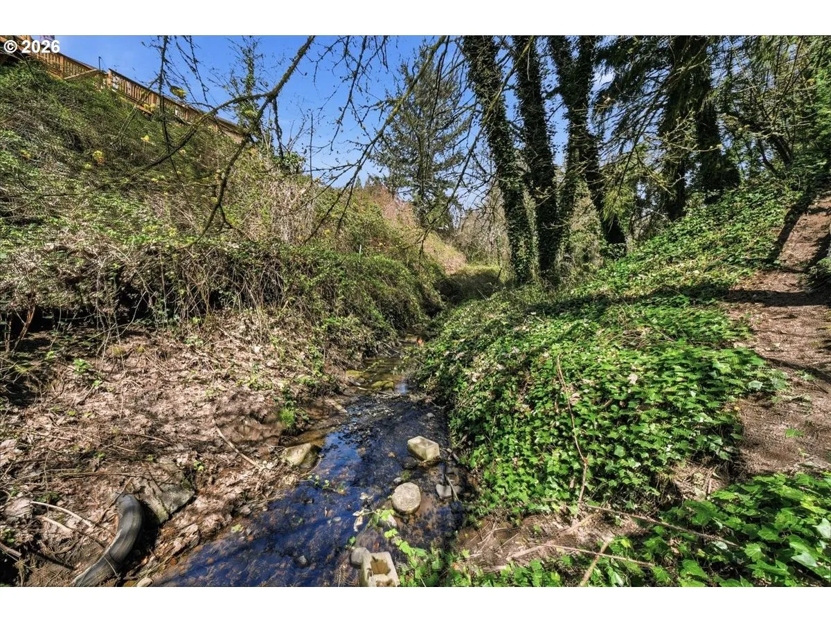 Creek-Back