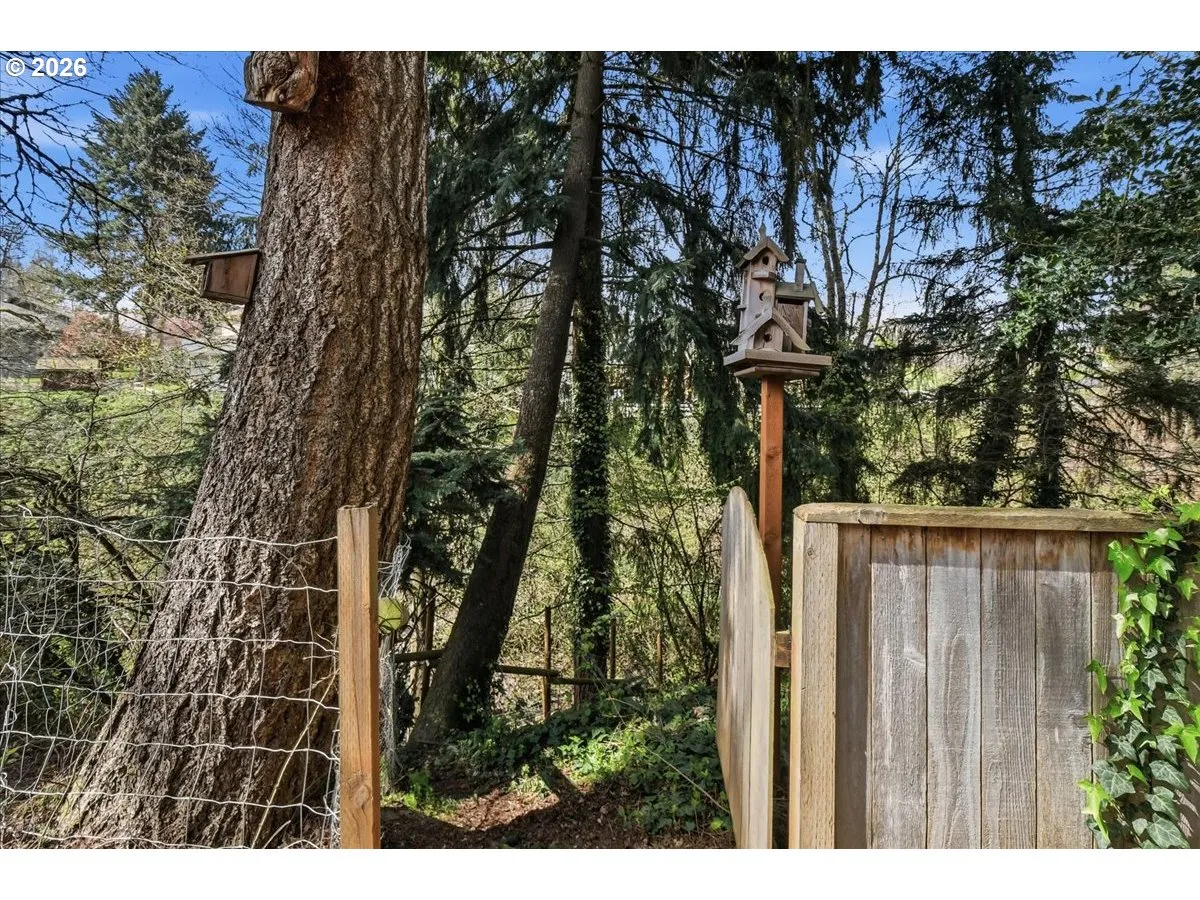 Backyard-Fenced