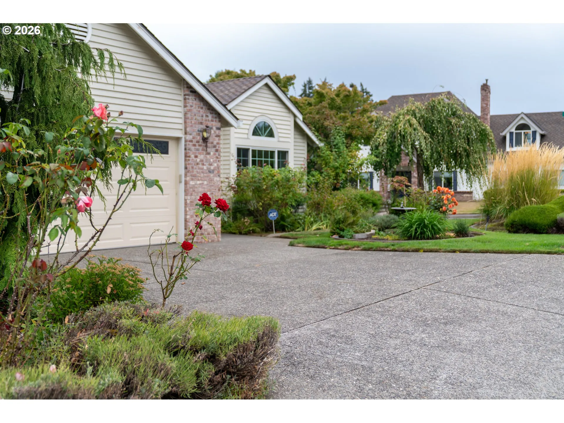 Front Yard