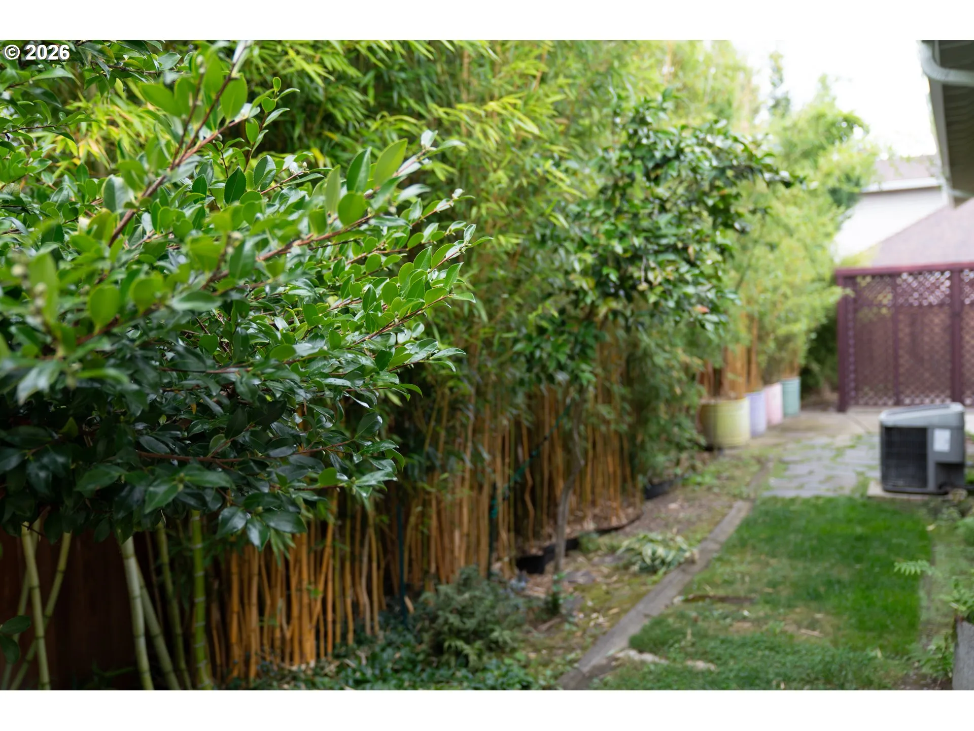 Yard
