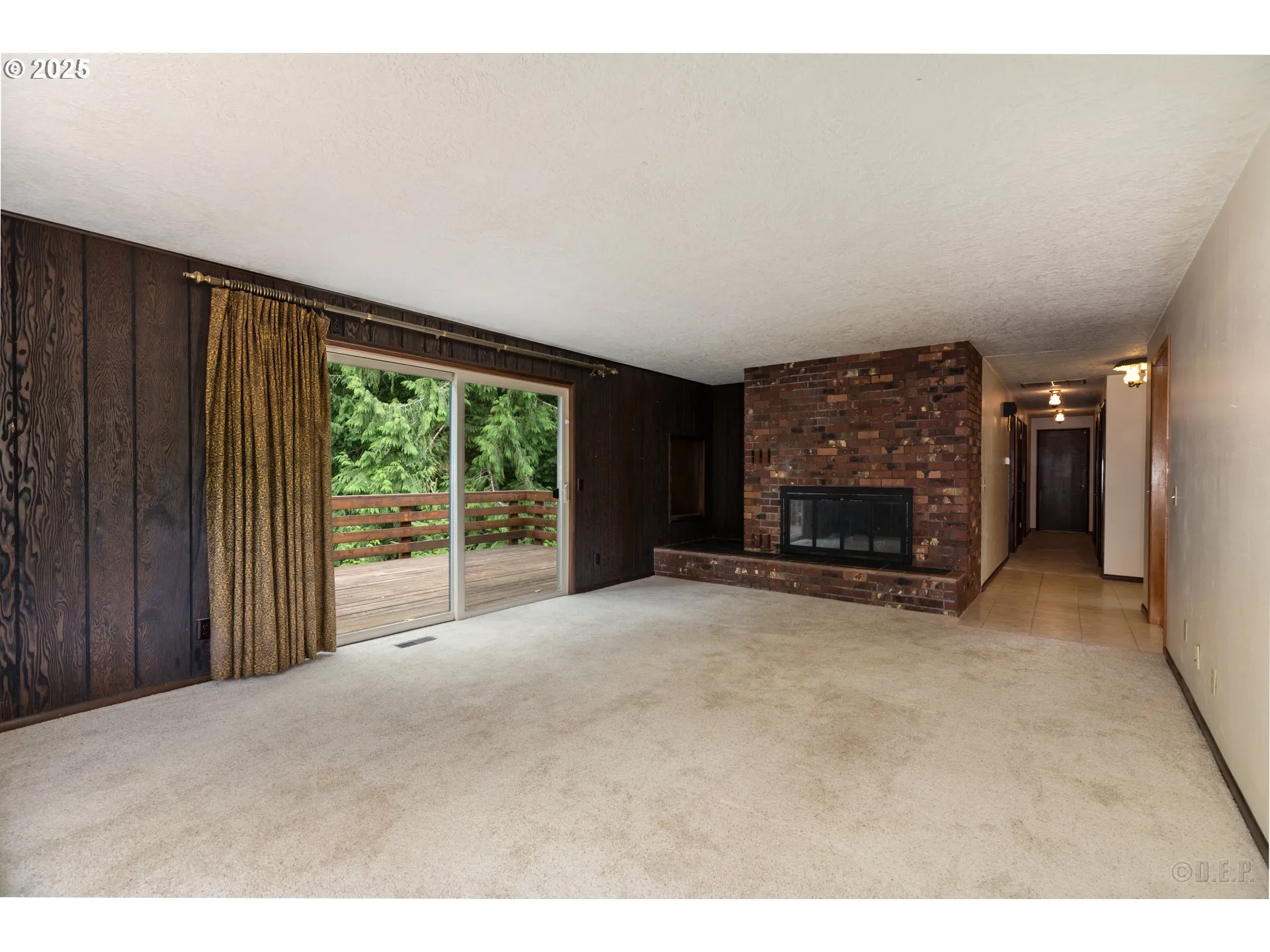 Living Room-Fireplace